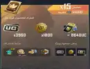 Prime Plus ( 6 أشهر )